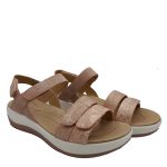 Pierre Cardin pcl01562