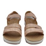 Pierre Cardin pcl01562