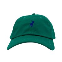 Polo Parker Classic Peak Cap - Green