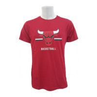 NBA Mens Chicago Bulls Basketball T-Shirt
