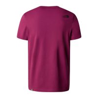The North Face Easy Tee T-Shirts