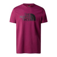 The North Face Simple Dome Boy's (Kids) T-Shirt