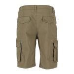 Pierre Cardin Cargo Stretch Mens Shorts