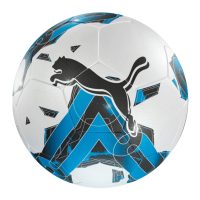 Puma Orbita 5 TB FIFA Ball