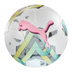 Puma Orbita 5 TB FIFA Ball