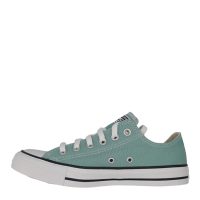 Converse All Star Chuck Taylor Low