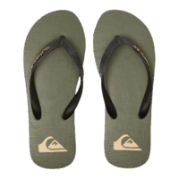 Quicksilver Molokai Mens Sandals - Green