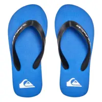 Quicksilver Molokai Core Men's Sandals - Blue