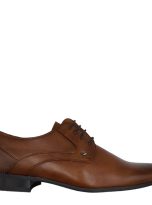 52947 tan 1