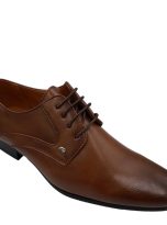52947 tan 2