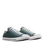 Converse All Star Chuck Taylor Low Men's Sneakers