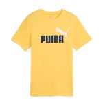 Puma Essential 2 Boys T-Shirt
