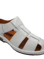 52916 wht 2