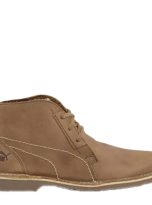 31661 choc 1
