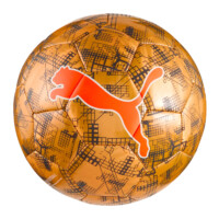 Puma Cup Soccer Ball