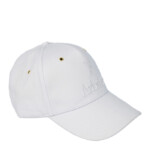 Arbiter Logo Core Cap