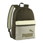 Puma Phase Color Block Backpack